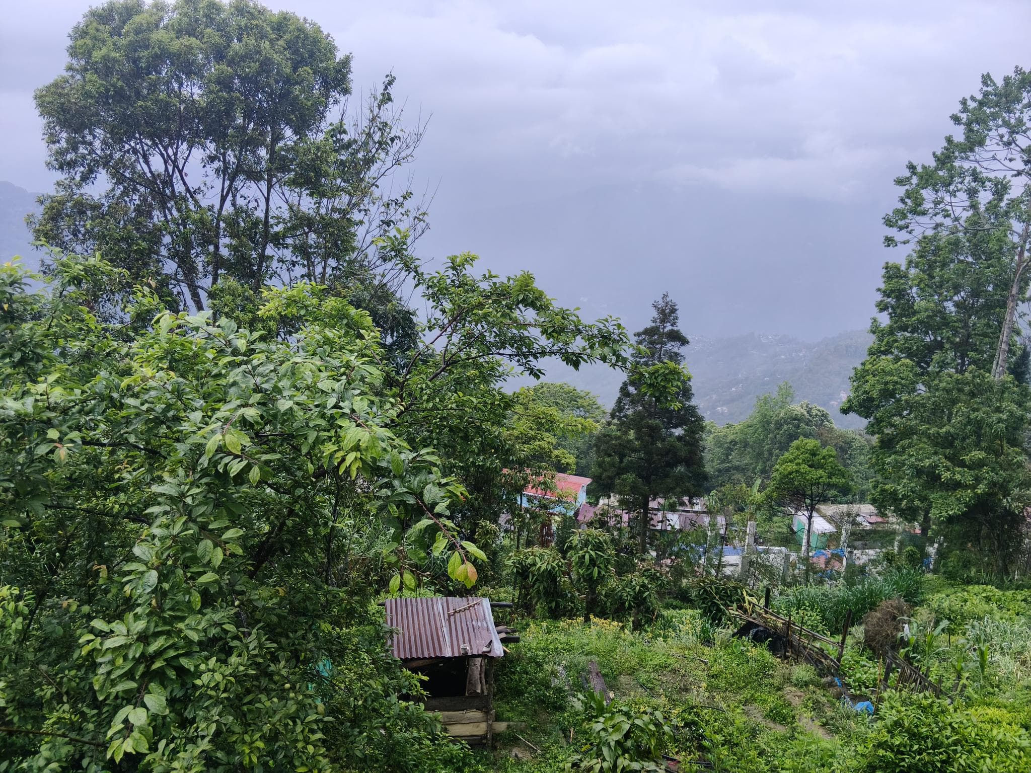 The village under cloud
